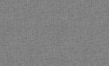 Обои виниловые 1,06х10 м ГТ WORLD MAPS фон серый; Вернисаж, 168437-09/6