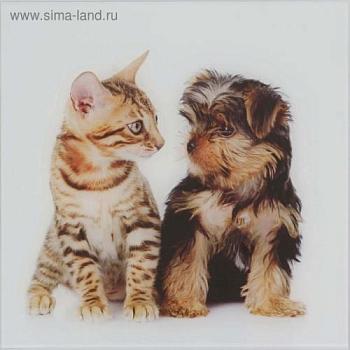 Картина 30х30см на стекле Собачка и котик; С-Л, 1177299