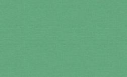 Обои виниловые 1,06х10 м ГТ Amazonika фон зеленый; ERISMANN, 60465-07/6