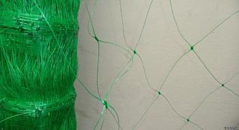 Сетка шпалерная 2х5 м ячейка 150х170 мм зеленая; ilovesad