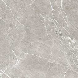 Керамогранит Imperiale Marble серый 60х60х0,9см 1,8 м2, 5 шт; Alma Ceramica, GFU04IMP07R
