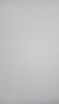 Пленка самоклеящаяся 0,45х8 м белый; Color Decor, 2017